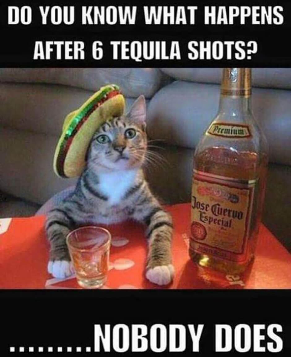 National Tequila Day Memes (5)