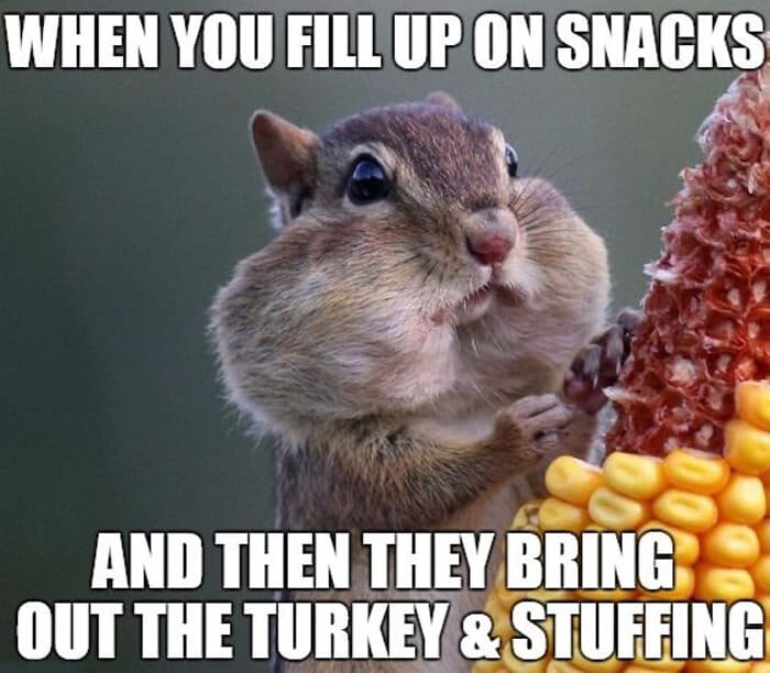 Thanksgiving Memes To share